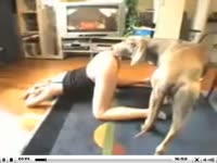 Whore got dog creampie after intense beastiality sex